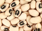 Virusul descoperit în fasolea cu ochi negri: noua armă neașteptată în lupta împotriva cancerului Virusul descoperit în fasolea cu ochi negri: noua armă neașteptată în lupta împotriva cancerului