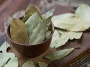 Pune asta în dulapul cu alimente și transformă-l într-o fortăreață naturală anti-insecte foi de dafin