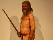 Secretul înghețat din coastele lui Ötzi: de ce omul de acum 5.300 de ani nu semăna cu noi