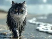 De ce pisicile urăsc apa? Explicația științifică De ce pisicile urăsc apa? Explicația științifică