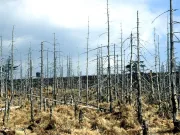 O nouă ploaie acidă amenință planeta, iar substanța vinovată este deja peste tot