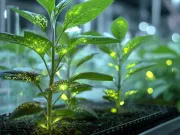 forța plantele să crească