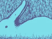 Testul de 3 secunde care îți spune dacă ești utopic sau realist: ce animal vezi prima dată? ce animal vezi raţă sau iepure test de personalitate