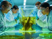 Codul secret al nemuririi, descifrat după 7.000 de ani de o creatură readusă la viață de cercetători creatură readusă la viață