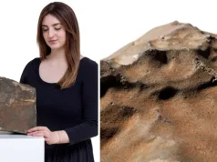 Cea mai mare rocă de pe Marte scoasă la licitație: 4 mil. $. Controversa care împarte lumea științifică: muzeu sau seif privat cea mai mare rocă de pe Marte