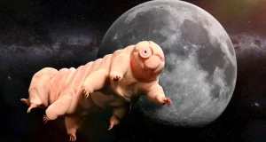 există viață pe lună tardigrade