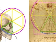 Misterul „Omului vitruvian” al lui Leonardo Da Vinci, dezlegat de un dentist și un raportor misterul omului vitruvian