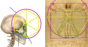misterul omului vitruvian