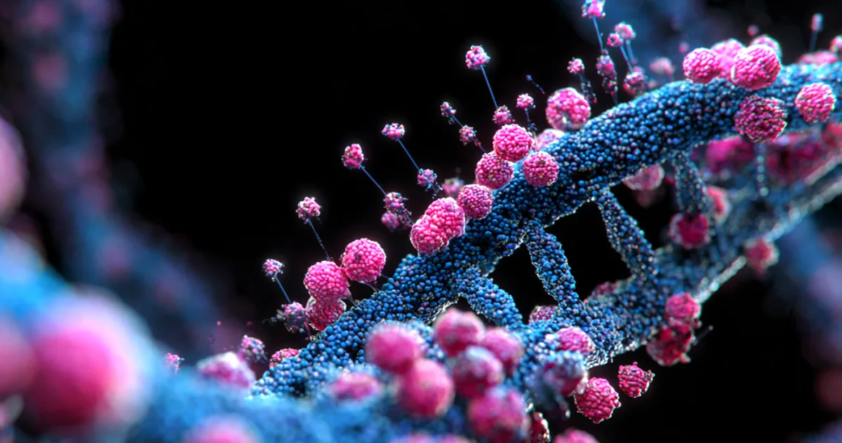 opri sistemul imunitar să-l atace