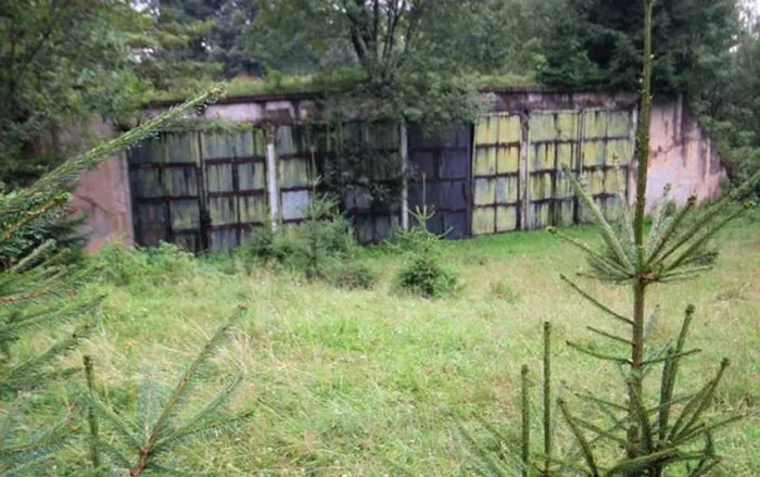 baza militara hunedoara