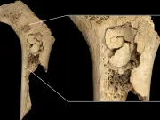 Secretul terifiant din peștera spaniolă: o familie întreagă a fost mâncată, dar nu de foame, ci dintr-un motiv mult mai sinistru Secretul terifiant din peștera spaniolă: o familie întreagă a fost mâncată, dar nu de foame, ci dintr-un motiv mult mai sinistru