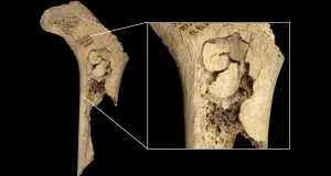 Secretul terifiant din peștera spaniolă: o familie întreagă a fost mâncată, dar nu de foame, ci dintr-un motiv mult mai sinistru