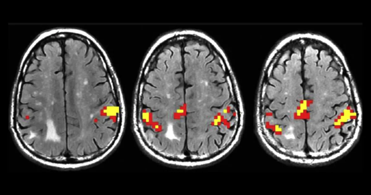 creier devine mai puternic