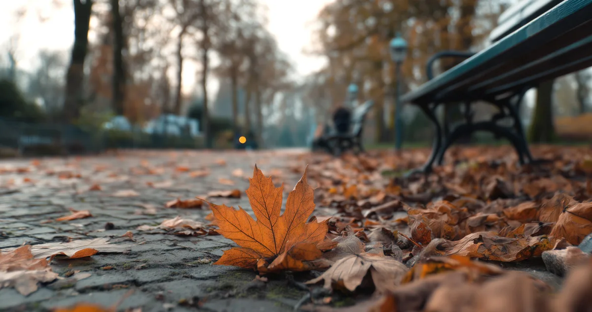 de ce cad frunzele mai devreme