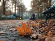 Toamna pe care o știai dispare? Cercetătorii au descoperit motivul pentru care frunzele copacilor cad mai devreme