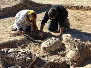 Mormântul de 3.000 de ani al unei adolescente din elita societății, descoperit în Iran, cu bijuterii din aur și o cutie de cosmetice uimitoare în formă de scorpion