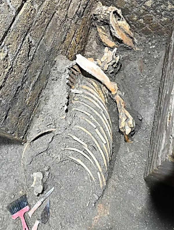 Noi descoperiri la Pompei, unde arheologii au descoperit noi dovezi care indică reocuparea orașului Pompei după erupția Vezuviului din anul 79 d.Hr., care a lăsat orașul în ruine. (Parcul Arheologic Pompei/AFP)