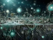 „Cutremurele alimentează viața ascunsă în adâncurile scoarței terestre”: oamenii de știință au descoperit un nou ecosistem surprinzător sub pământ „Cutremurele alimentează viața ascunsă în adâncurile scoarței terestre”: oamenii de știință au descoperit un nou ecosistem surprinzător sub pământ