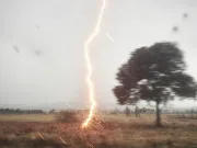 Credeai că ești în siguranță după furtună? Cum te poate lovi fulgerul chiar dacă afară e senin Credeai că ești în siguranță după furtună? Cum te poate lovi fulgerul chiar dacă afară e senin