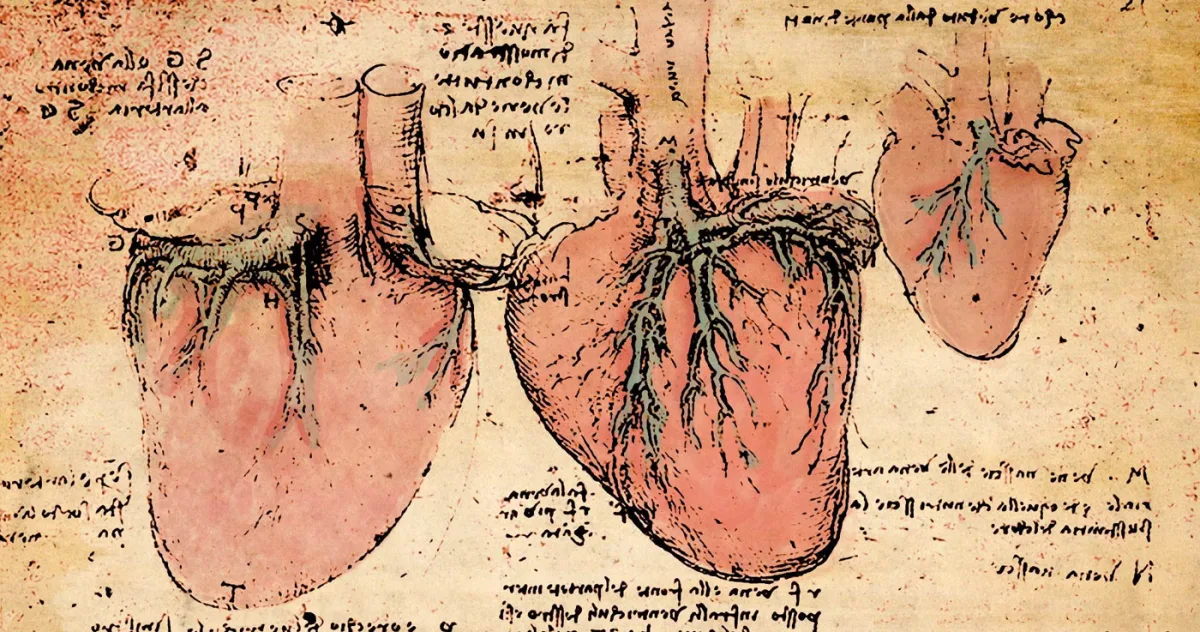 inima da vinci