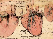 Ce secret ascundea Leonardo da Vinci în desenele inimii umane? Răspunsul, venit după 500 de ani, ne privește pe toți Ce secret ascundea Leonardo da Vinci în desenele inimii umane? Răspunsul, venit după 500 de ani, ne privește pe toți