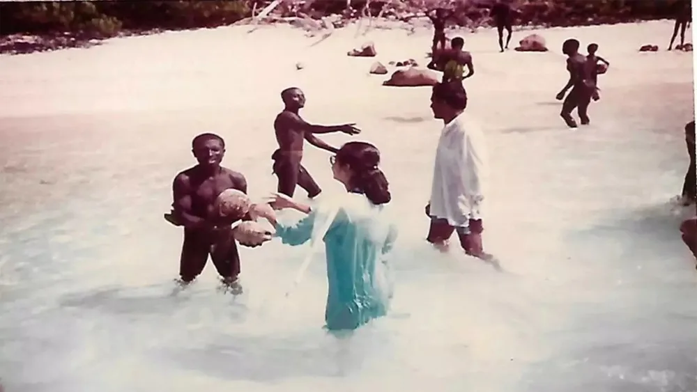 insula santinelei contact