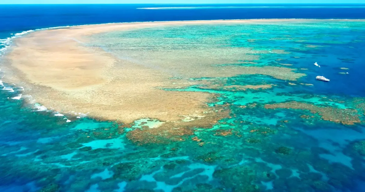 O lovitură fără precedent pentru planetă. Marea Barieră de Corali se prăbușește în ritm record
