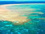 O lovitură fără precedent pentru planetă. Marea Barieră de Corali se prăbușește în ritm record