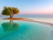 „Giganții de sare” din Marea Moartă dezvăluie secrete fascinante despre trecutul Pământului „Giganții de sare” din Marea Moartă dezvăluie secrete fascinante despre trecutul Pământului