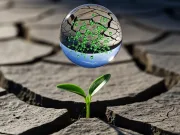 Secretul pe care orice grădinar îl știa, dar nimeni nu-l putea explica: materia organică reține apa în sol, chiar și în cele mai aride condiții Secretul pe care orice grădinar îl știa, dar nimeni nu-l putea explica: materia organică reține apa în sol, chiar și în cele mai aride condiții