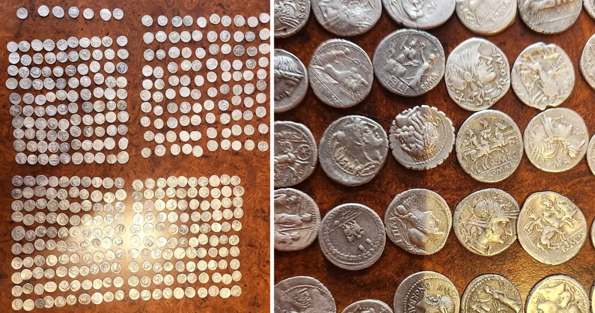 pădure din Hunedoara 407 monede romane