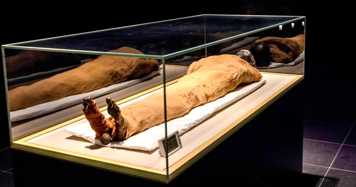 Descoperit după 3.500 de ani: ce secrete ascundea mormântul inundat al faraonului uitat de istorie, Tutmes al II-lea