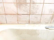 Nu ignora niciodată mâzga roz din duș. Ce este și ce spun experții despre pericolul ascuns mâzga roz