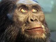 O nouă specie misterioasă a fost descoperită: a trăit acum 2,6 mil. de ani alături de cei mai timpurii Homo