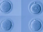 Natura a instalat un „scut anti-îmbătrânire” în corpul tău. Un studiu aduce vești neașteptate femeilor de peste 30 de ani Natura a instalat un „scut anti-îmbătrânire” în corpul tău. Un studiu aduce vești neașteptate femeilor de peste 30 de ani