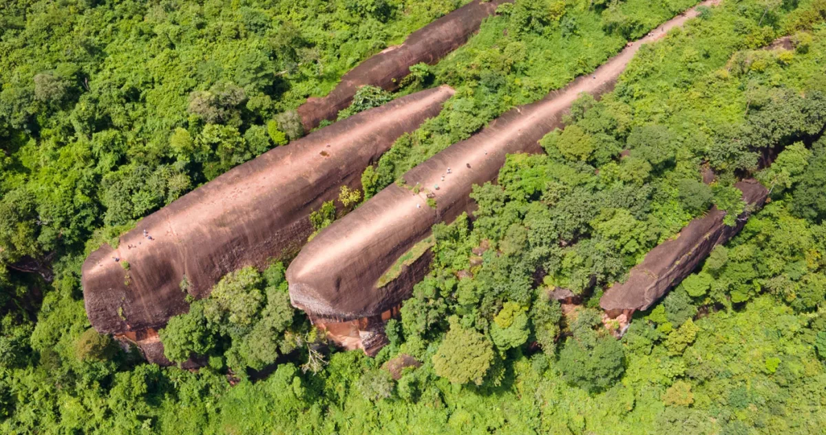 Stânca Celor Trei Balene: Leviatanii de piatră din Thailanda, vechi de 75 de milioane de ani