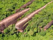 Stânca Celor Trei Balene: Leviatanii de piatră din Thailanda, vechi de 75 de milioane de ani, care par să plutească într-o mare de copaci Stânca Celor Trei Balene: Leviatanii de piatră din Thailanda, vechi de 75 de milioane de ani, care par să plutească într-o mare de copaci