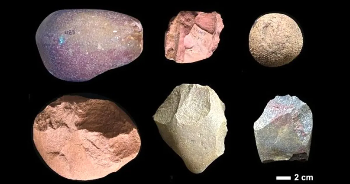 Cu mult înainte de a fi Homo sapiens, strămoșii noștri importau deja: materii prime pentru unelte, acum 3 mil. de ani