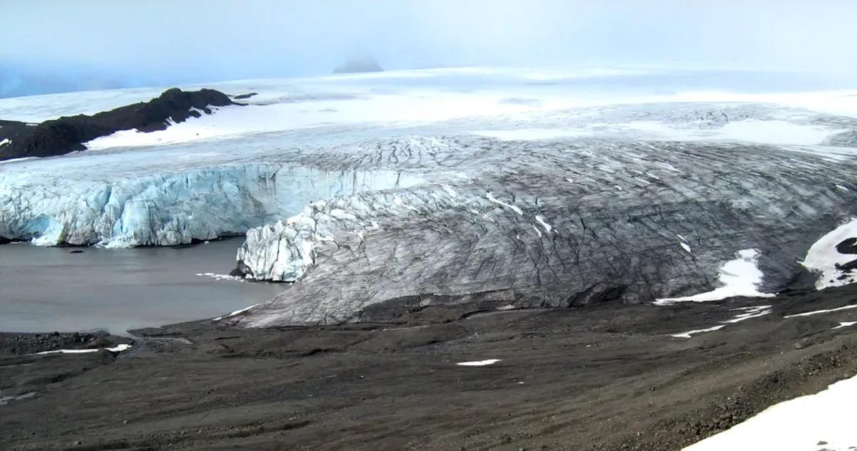 ramasite cercetator antarctica