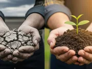 Agricultura viitorului: soluția științifică prin care putem reface solurile distruse ale planetei soluția științifică prin care putem reface solurile distruse ale planetei