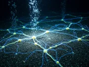 rețea electrică vie