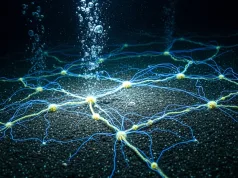 Secretul din adâncuri, dezvăluit: o rețea electrică vie, formată din microbi, consumă cel mai periculos gaz din ocean rețea electrică vie