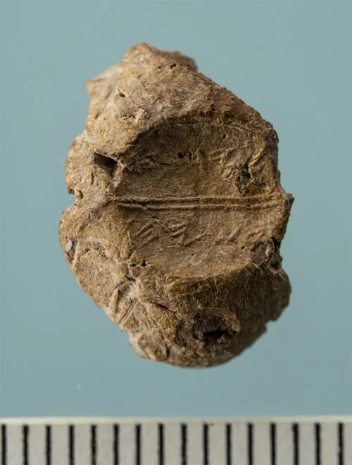 sigiuliu amprenta bilbie