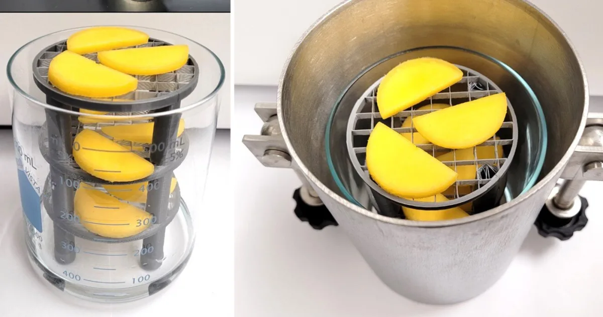 o metodă genială de a deshidrata fructele fără pic de căldură