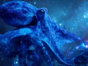 „Aceasta este creatura care va domina Pământul după noi”. Viitorul stăpân al Pământului nici măcar nu trăiește pe uscat „Aceasta este creatura care va domina Pământul după noi”. Viitorul stăpân al Pământului nici măcar nu trăiește pe uscat