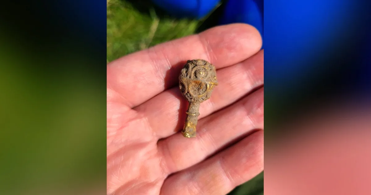 studenta descoperire arheologica