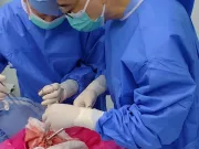 Primul transplant de plămân de la porc la om încercat pe o persoană în stare de moarte cerebrală în China Primul transplant de plămân de la porc la om încercat pe o persoană în stare de moarte cerebrală