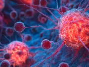 Virusurile respiratorii comune pot „trezi” celule canceroase latente, arată un nou studiu Virusurile respiratorii comune pot „trezi” celule canceroase latente, arată un nou studiu