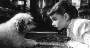 Tragedia uitată: de ce Marea Britanie și-a ucis peste 750.000 de animale de companie în 1939