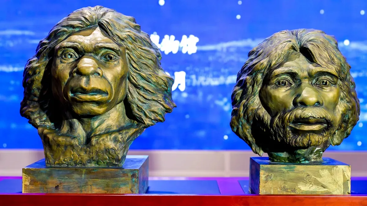 În decembrie 2024, Muzeul Provincial Hubei din China a prezentat reconstituiri bazate pe două cranii Yunxian